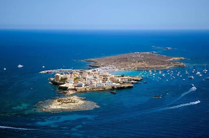 13 Rocafel 7 Playa Albufereta Alicante Eksteriør bilde
